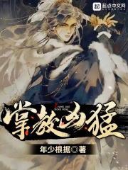 掌教什么境界