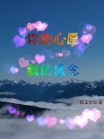 你的心愿我的信念是什么歌