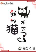 猫猫在家里突然不见了