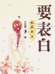 机长大人是饿狼全文免费