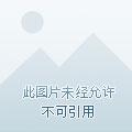 贞观小闲王笔趣阁免费阅读