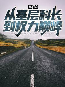 官途从基层科长到权力巅峰