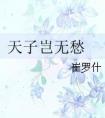 天子岂无愁by崔罗什提取码