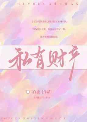 现代公司与私有财产