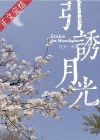 引诱月光江念在线阅读