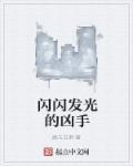 闪闪发光的凶手电影