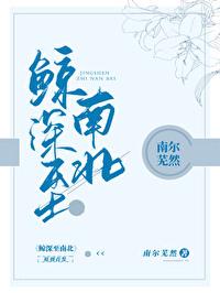 鲸在南极还是北极