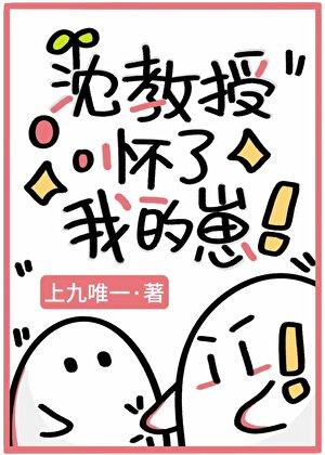 沈教授怀了我的崽上九唯一