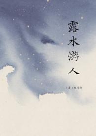 露水游人笔趣阁txt