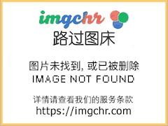 咸鱼被迫修仙白倏尔阅读