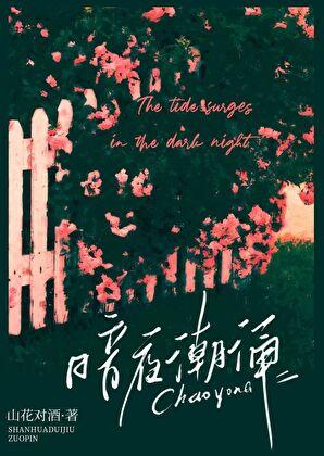暗夜潮涌txt