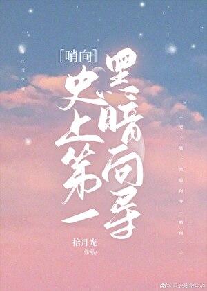 史上第一黑暗向导by拾月光