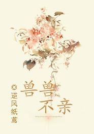 顶级龙婿笔趣阁