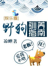 驯服野狗的方法