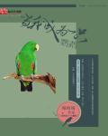 当我成为一只鹦鹉晋江