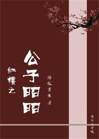 红楼之公子无双百科