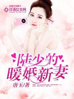 陆少的暖婚新妻主要内容