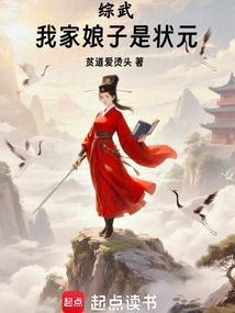 综武我家娘子是状元全文