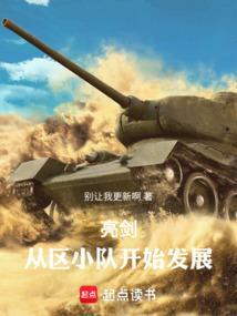 亮剑从区小队开始发展全文免费